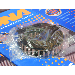 DNA Luftfilter Yamaha XVS1100 Drag Star / Classic Sportluftfilter eintragungsfrei R-Y11C07-01